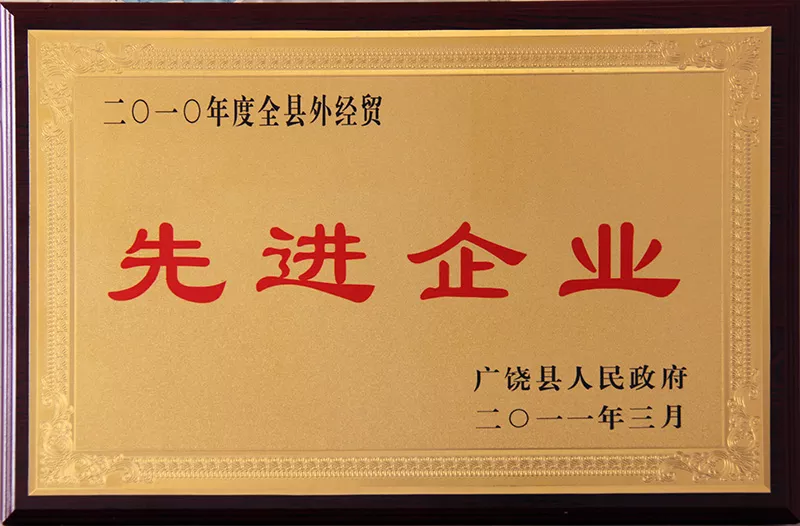 2010年年度全县外经贸先进企业