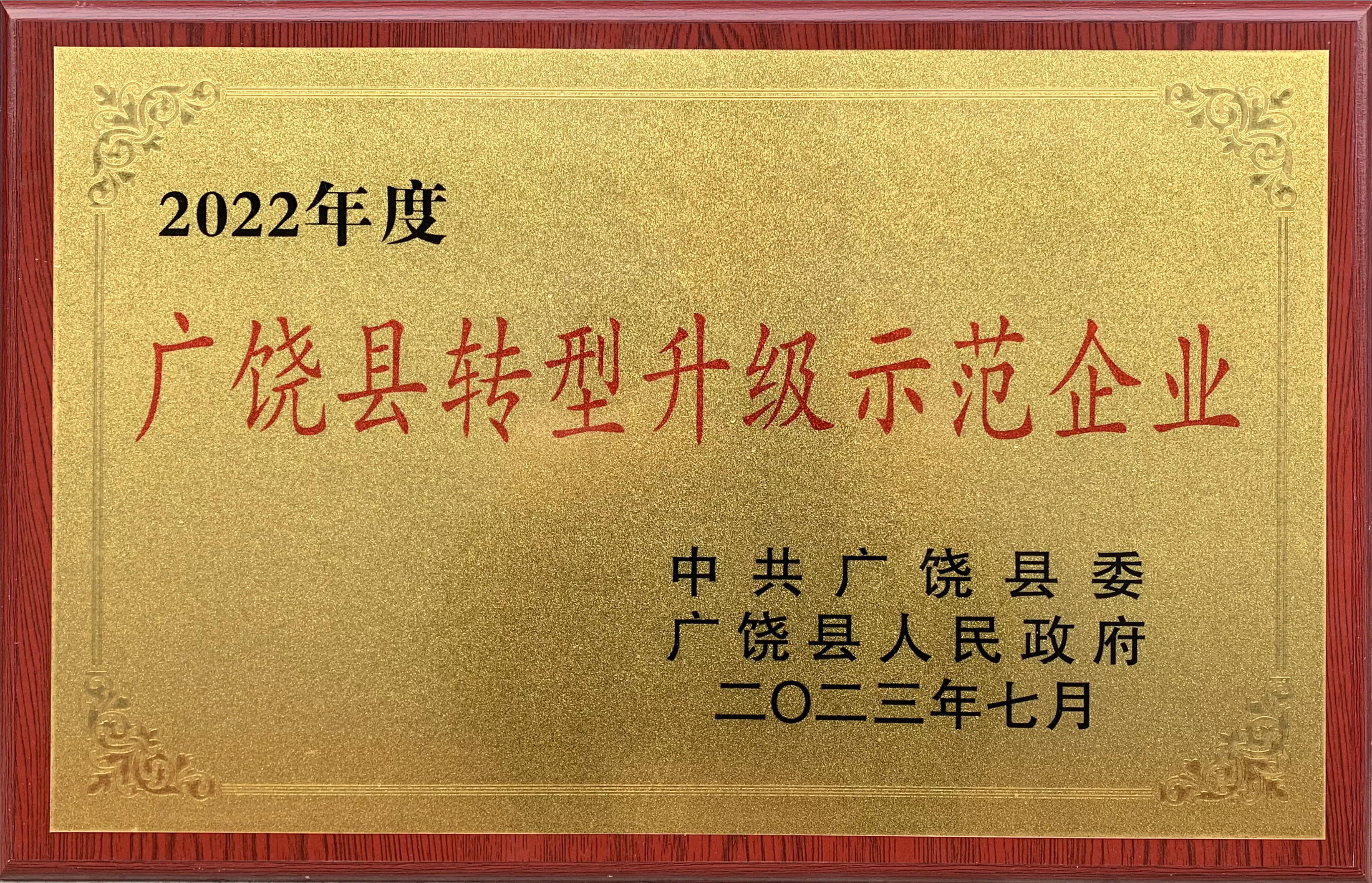 县转型升级示范企业