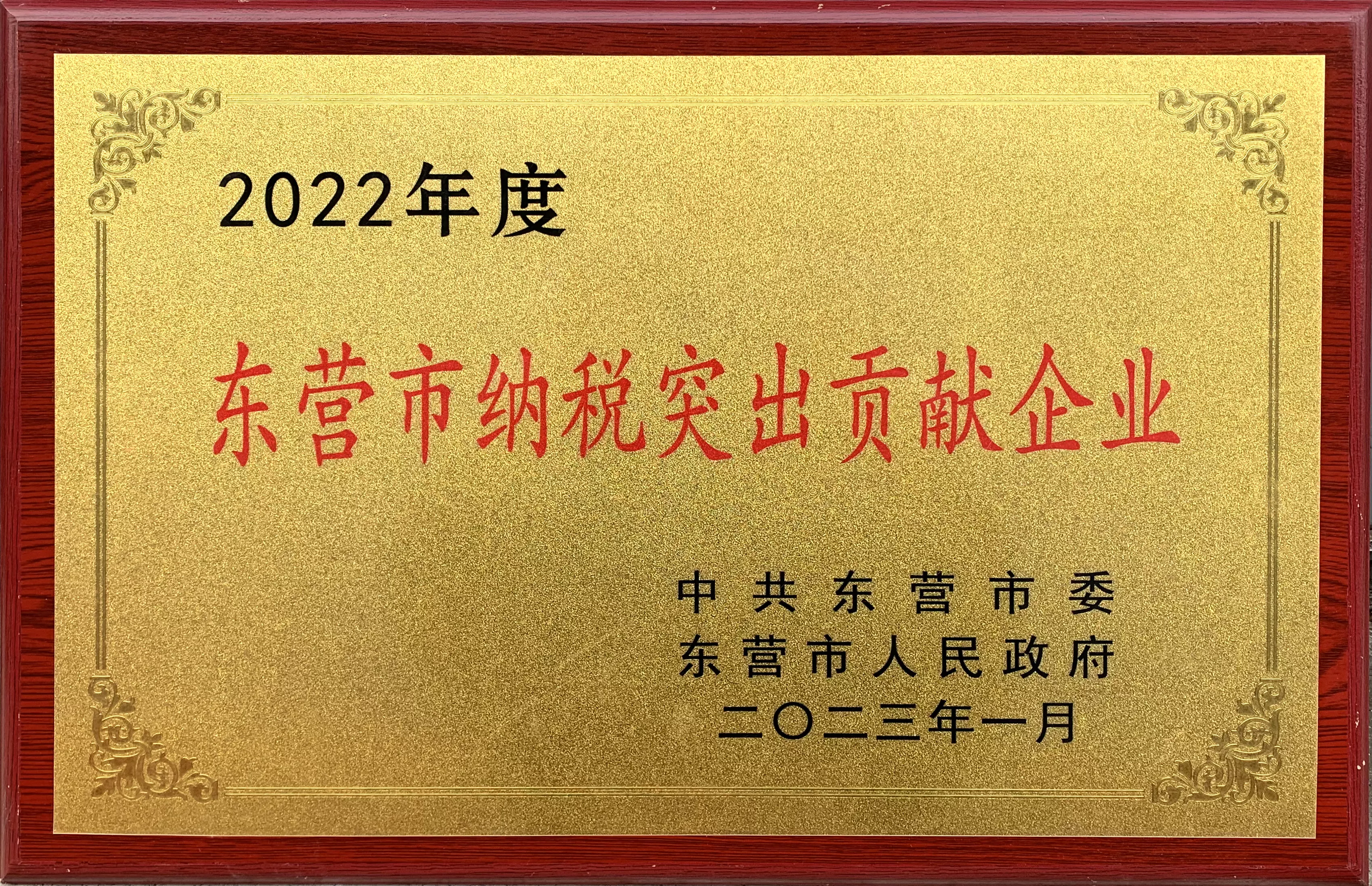 东营市纳税突出贡献企业